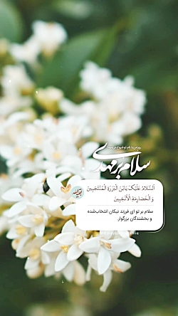 اولین سلام روزانه