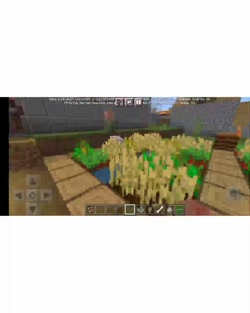 رام کردن سگ و گربه . و شیر گاو...