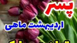 پسر اردیبهشت ماهی تولدت مبارک