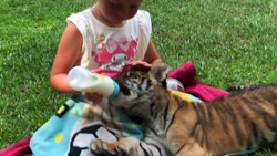 برنامه کودک ناستیا ناستیاشو سر...