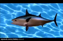 باب اسفنجی دوبله فارسی