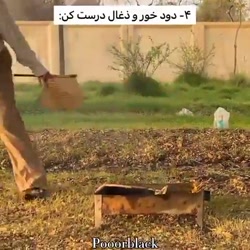 پریسا پور بلک