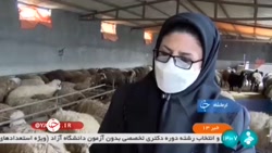 اشتغالزایی برای 500 خانوار در روستا اشتغالزایی برای 500 خانوار در روستا