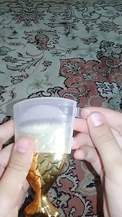 تجربه خرید برس کرم پودر و رژگونه گلدن فیش مدل S1