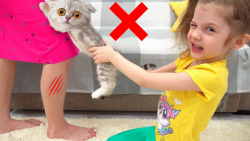 برنامه کودک دخترانه ایوا،بازی...