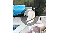 آهنگ ساسی کاکادو ها میکس خفن ط...