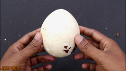 2 روش ساده برای شکستن آسان نار...