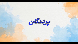 پرندگان - علوم سوم سپهر2 - شماره13