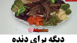 آموزش درست کردن دنده کباب روی سنگ