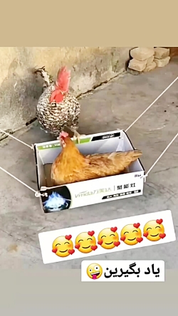 یک ویدئو زیبا