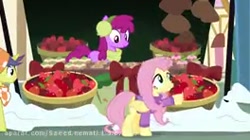 پونی کوچولو