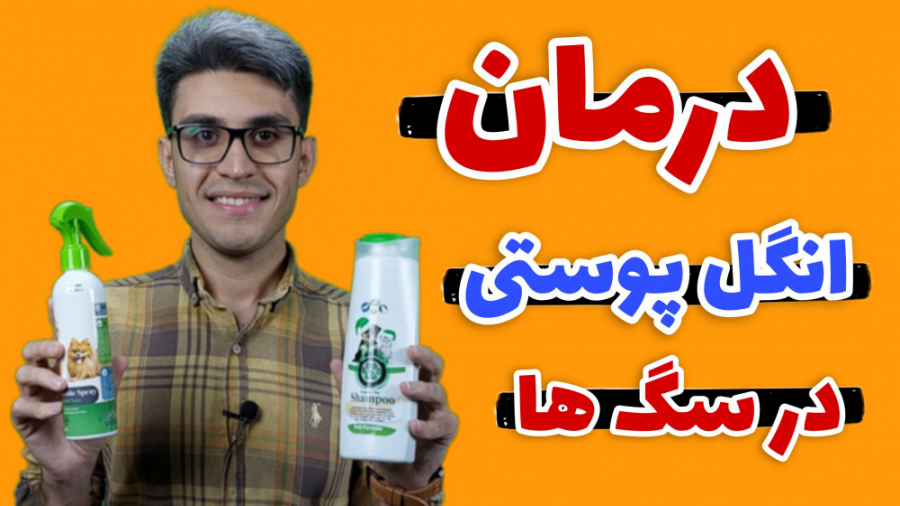 انگل در سگ ها | درمان انگل در سگ ها | کلینیک دامپزشکی رفع چین و چروک