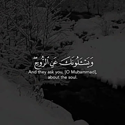 استوری قرآنی