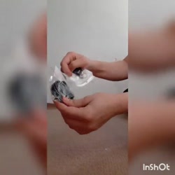 تجربه خرید کش مو زنانه مدل چهل گیس بسته 500 عددی