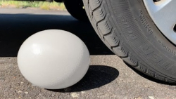 چالش تفریحی له کردن وسایل کیوت...