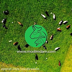 آشنایی با دستگاه گوارش مرغ - مشاوره در واتساپ 3211 373 0919