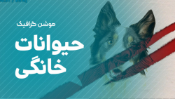 موشن گرافیک | حیوانات خانگی موشن گرافیک | حیوانات خانگی