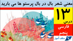 معنی شعر درس سیزدهم (بال در بال پرستوها می بارید) فارسی پنجم دبستان