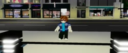 The roblox Brookhaven Experience 2