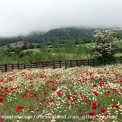 طبیعت زیبای داماش