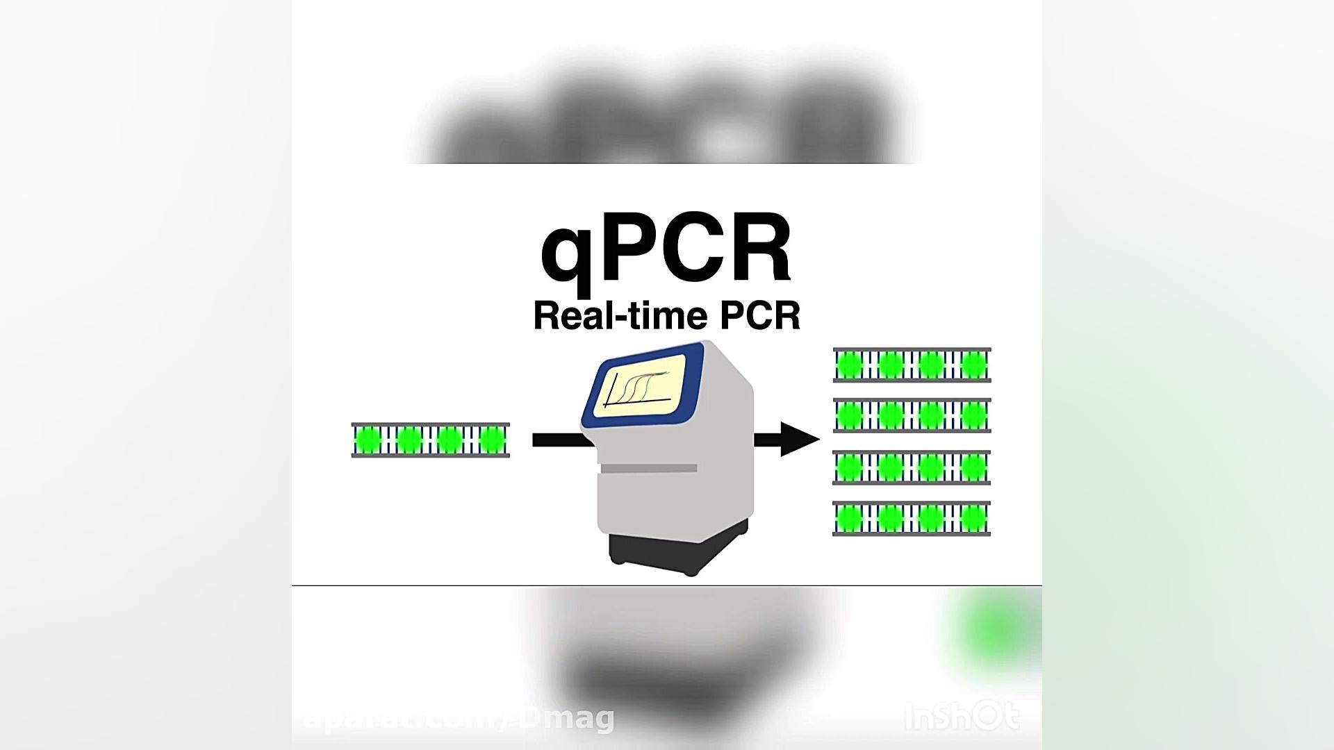 آموزش جامع تکنیک Real-Time PCR تزریق بوتاکس