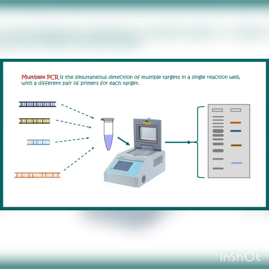 فیلم آموزشی تکنیک Multiplex Pcr 8235