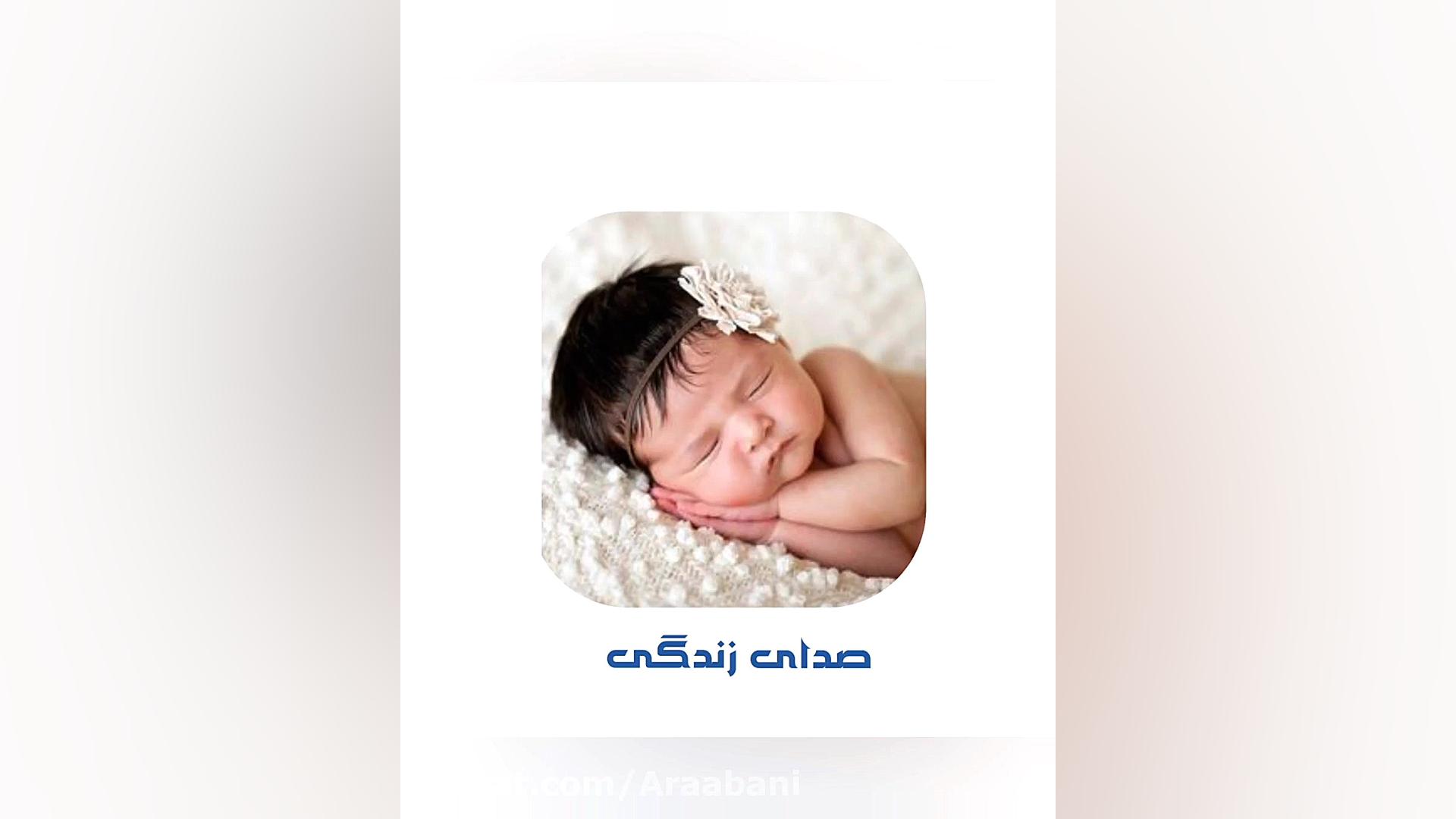 صدای زندگی سیده سارا موسوی عربانی