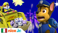 کارتون سگ های نگهبان  توله سگ...