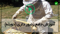 روش های نوین زنبورداری-دنیای زنبور عسل-جابجا کردن کندوها