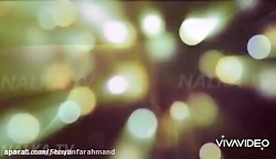 نام و قدرت کوامی ها