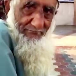 صدای گربه در میاره