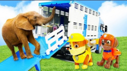 بازی با اسباب بازی سگ های نگهب...