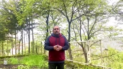 truncate dir-rtl