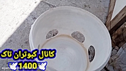 یه راه دیگه برای ازبین بردن انگل کبوتر