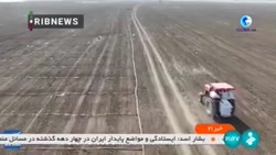 پیامدهای جنگ اوکراین و روسیه بر تامین گندم کشورهای عربی پیامدهای جنگ اوکراین و روسیه بر تامین گندم کشورهای عربی
