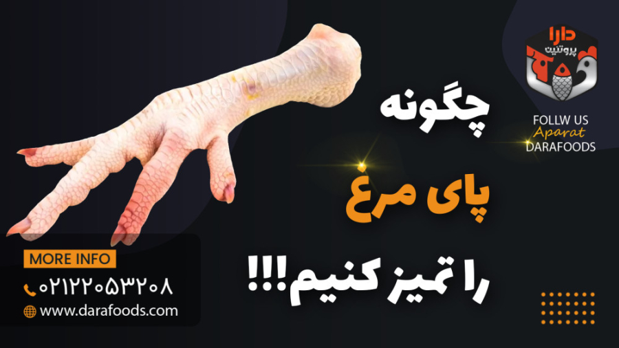 چگونه پای مرغ را تمیز کنیم؟