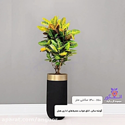 خرید گلدان هدیه لوکس با گیاهان...