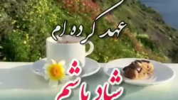 کلیپ شاد _ با خودم عهد کرده ام شاد باشم
