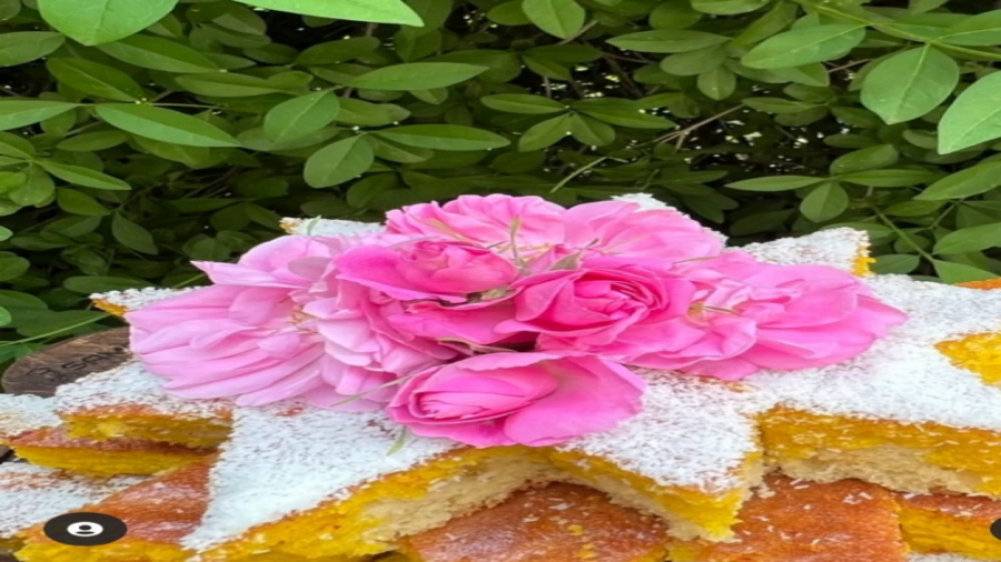 کیک باقلوا با فر کانوکشن صنایع پخت مشهد