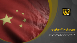 چین در واردات گندم رکورد زد چین در واردات گندم رکورد زد