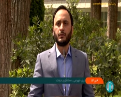 سخنگوی دولت: به تدریج امکان برداشت از یارانه فراهم میشود سخنگوی دولت: به تدریج امکان برداشت از یارانه فراهم میشود