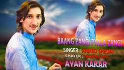 آهنگ پشتو افغانی شاد | احمد شی...