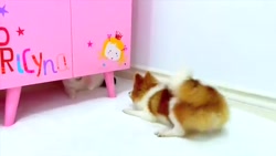 استیسی و بابایی  کلیپ کودکانه...