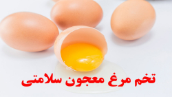 تخم مرغ معجون سلامتی