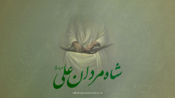 نماهنگ افغانستانی / دم از آن شاهی زنم کز مصطفی دختر گرفت / مقداد مدیا