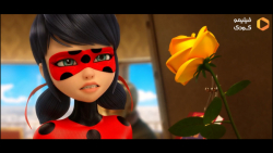 سری انیمیشن دختر کفشدوزکی