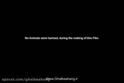 فیلم هندی دلداده دوبله فارسی