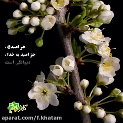 شاخه طوبی