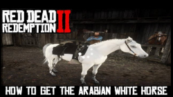پیدا و رام کردن اسب سفید عربی در رد دد 2