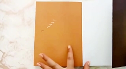 تجربه خرید کتاب مارک و پلو اثر منصور ضابطیان نشر مثلث